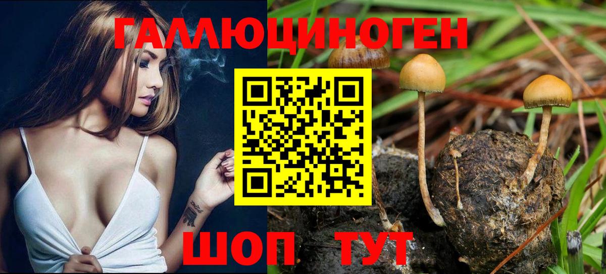 Псилоцибиновые грибы мухоморы Шадринск