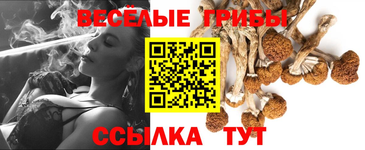 Шадринск  Галлюциногенные грибы Cubensis  Вход с VPN 